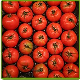 Odoo - Sample 1 for three columns